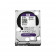 Внутренний жесткий диск Western Digital Purple WD20PURX