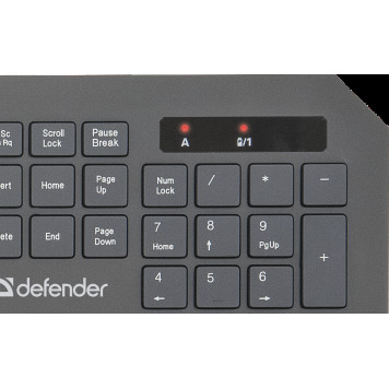 Клавиатура с мышью Defender Berkeley C-925 Wireless Combo, RU,multimedia, black (45925)-3