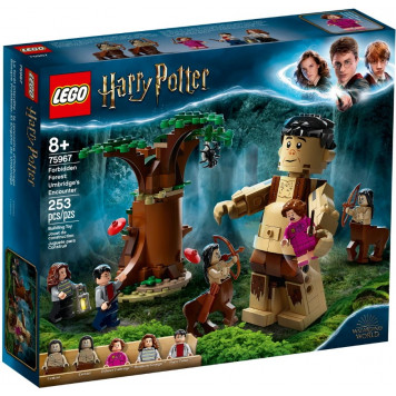 Konstruktor LEGO FORBIDDEN FOREST: UMBRIDGE'S ENCOUNTER 75967-1