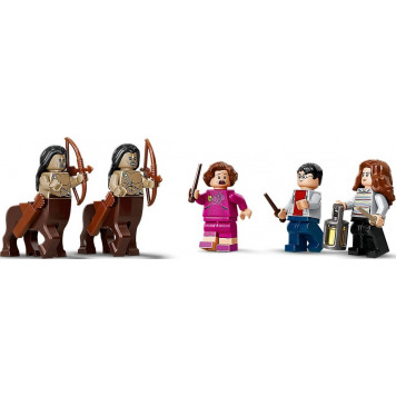 Konstruktor LEGO FORBIDDEN FOREST: UMBRIDGE'S ENCOUNTER 75967-2