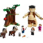 Konstruktor LEGO FORBIDDEN FOREST: UMBRIDGE'S ENCOUNTER 75967
