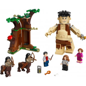 Konstruktor LEGO FORBIDDEN FOREST: UMBRIDGE'S ENCOUNTER 75967
